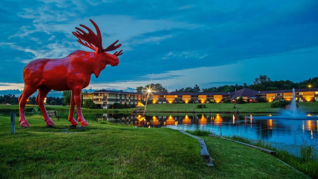 Black River Falls Hotel | SureStay Plus Hotel by Best Western Black River Falls