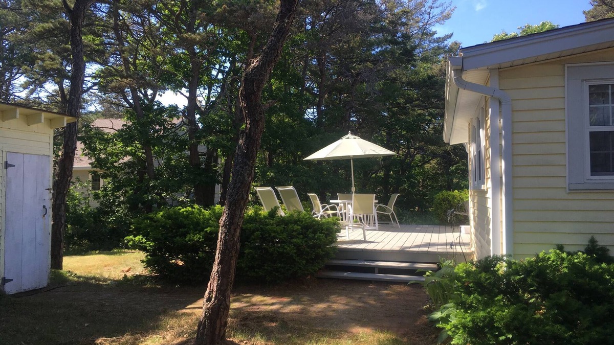 Phippsburg Cottage | Surf and Seabirds!
