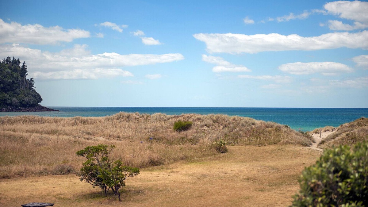 Whangamata Cottage | Surf Beach Views - Whangamata Holiday Home