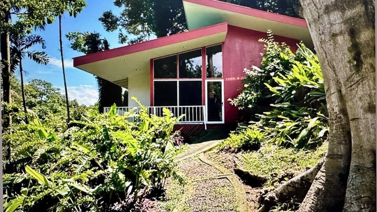 Pavones House | Surf Shack- Set in Jungle, Walk 2 Beach, WiFi, & Back-Up Power in Outages