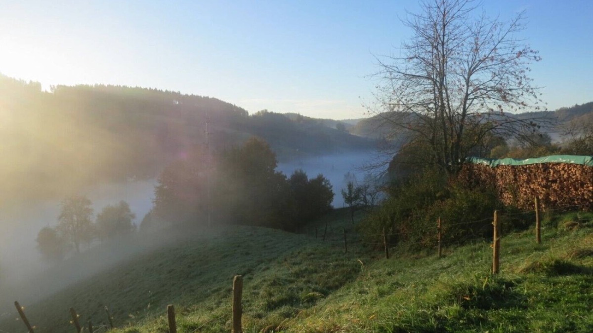 Kleines Wiesental Apartment | Sustainable tourism in the Black Forest!