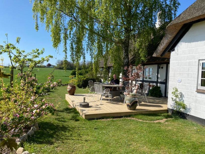 Tranekaer Bed & Breakfast | Svalebølle Bed & Breakfast