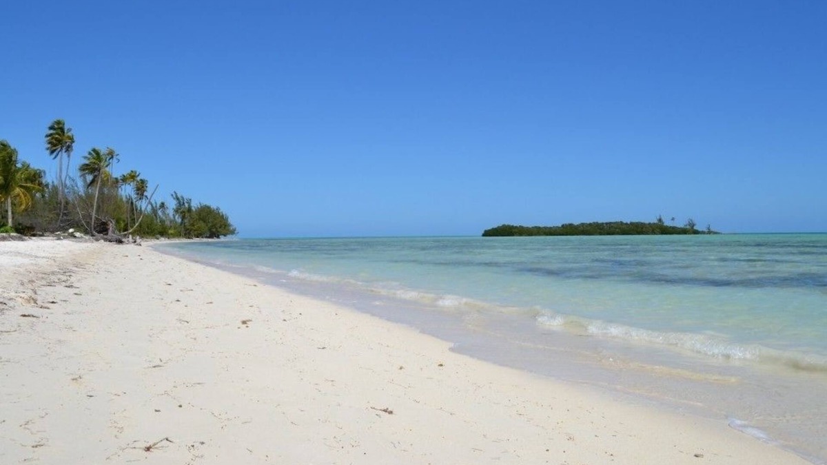 Mangrove Cay Resort | Swains Cay Lodge