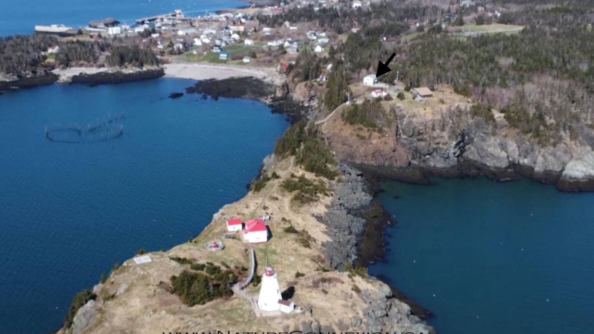 North Head House | Swallowtail Lighthouse Overlook on Grand Manan - 4 bedrooms available