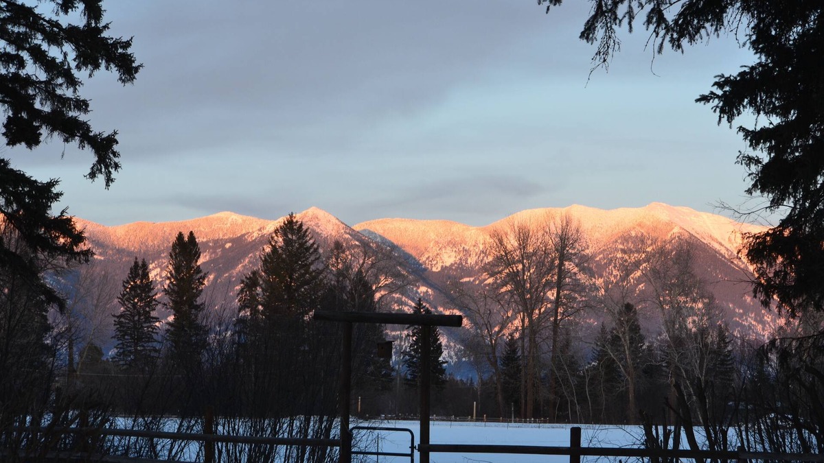 Evergreen Apartment | Swan Mntn View-Entire, Private Basement Suite, Close to GNP, Whitefish & Lake.