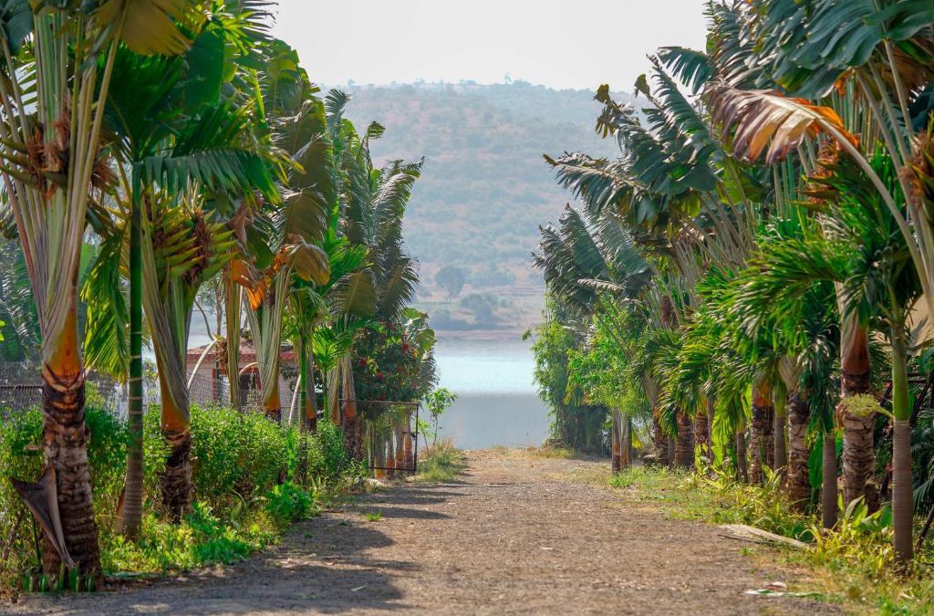 Kadadhe Resort | Swarg Resort pawana