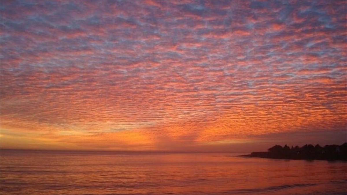 Westside Santa Cruz House | Sweet 1 BDRM Cottage, FAST WIFI, near ocean, W&D, Full kitchen and bath, BBQ!