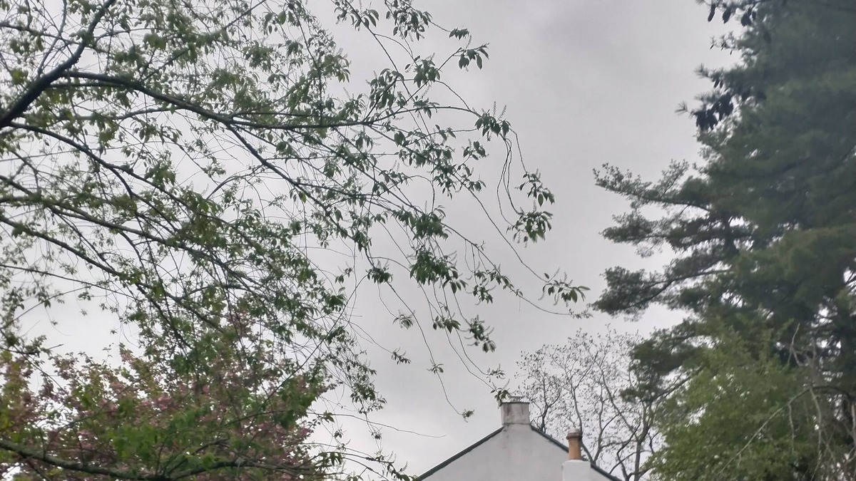 Creamery House | Sweet Farmhouse in Charming Skippack PA