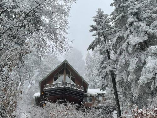 Springville House | Sweet getaway in private Giant Sequoia Grove!