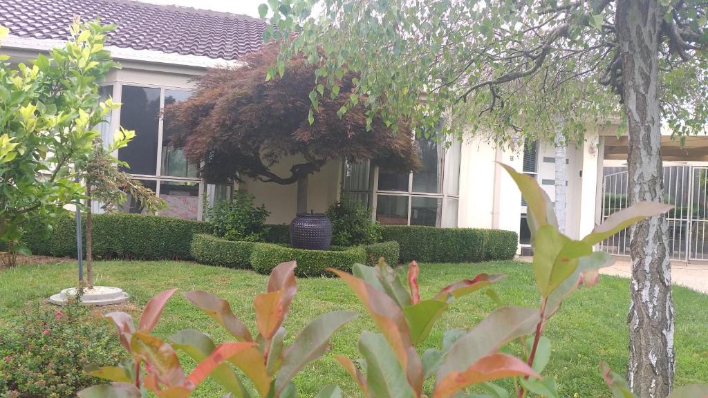 Nicholls House | Sweet Holiday Home by the Golf Course