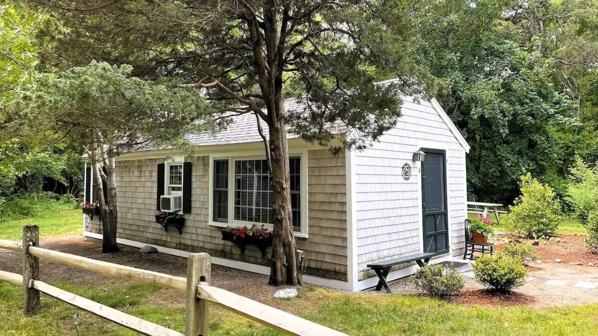 Eastham House | Sweetbriar ~ Charming Cape Cottage ~ Dog-Friendly!