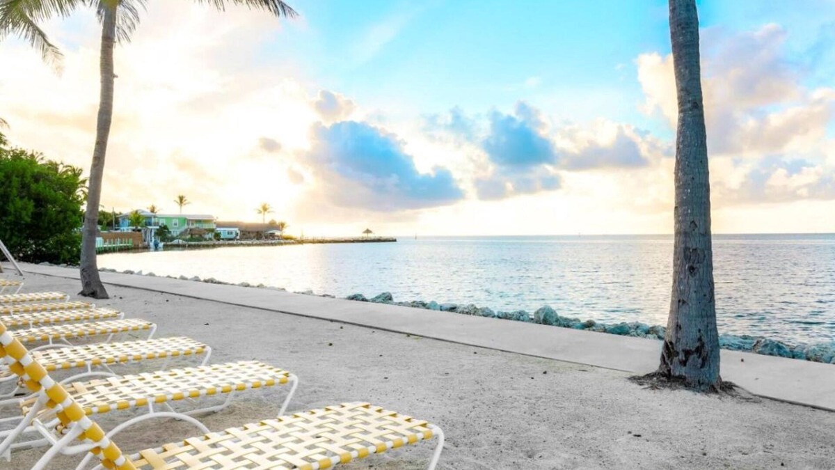 Islamorada Apartment | Swim with Dolphins in the Florida Keys! FREE Breakfast & Parking, Marina, Pool!