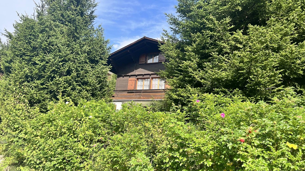 Plaffeien Ski Chalet | Swiss chalet, in a quiet, not overlooked, 10min of the famous Black Lake !