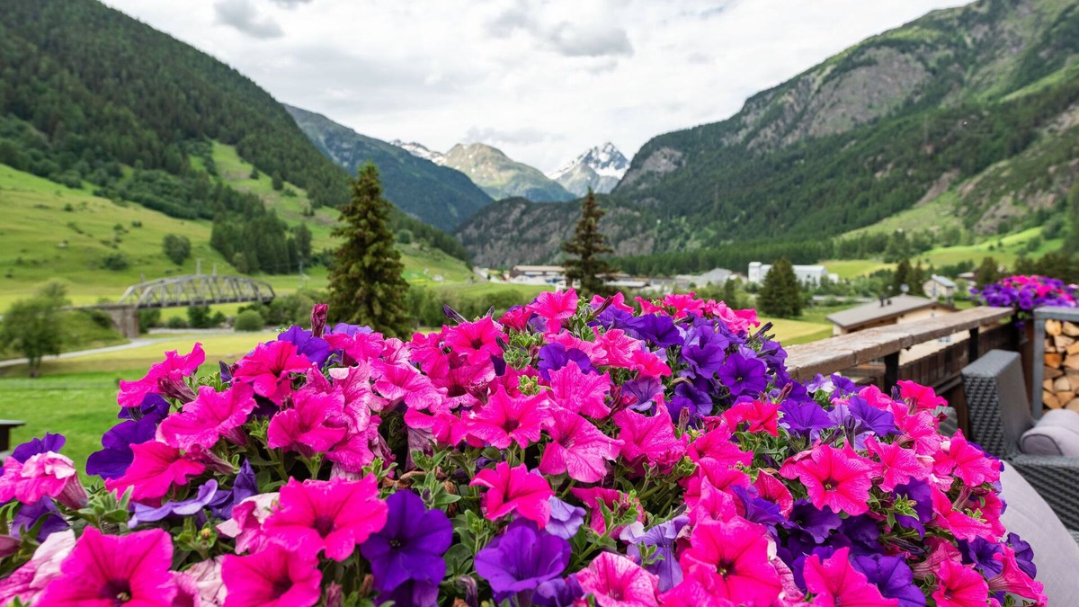 Zernez Hotel | Swiss Lodge Zernez