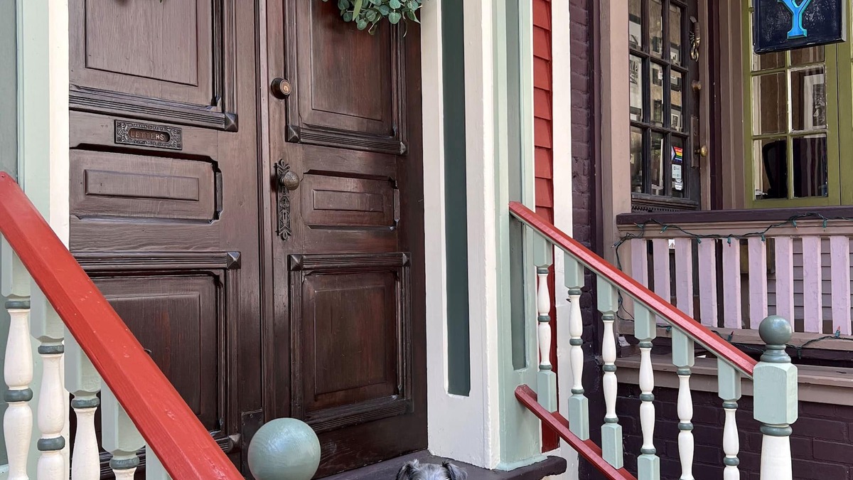 Ashfield Apartment | Swiss Suite in Downtown JT Near Opera House with Parking. Dog Friendly-Check 1st