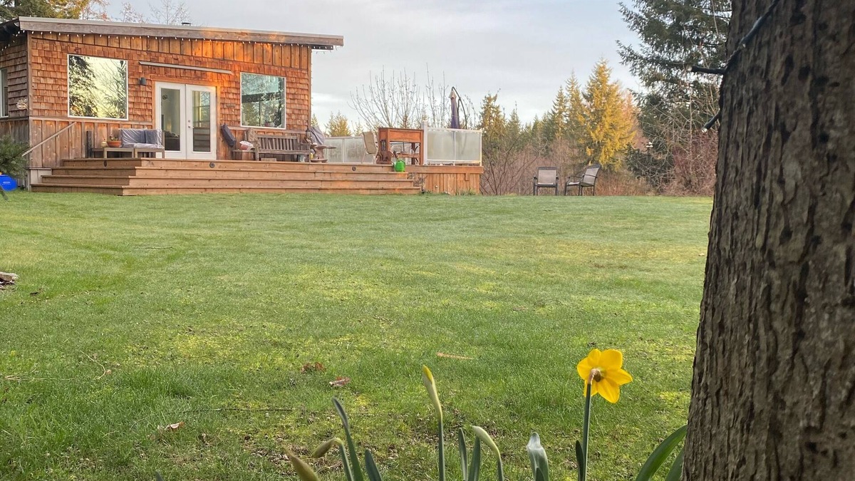 Black Creek Cabin | SwitchingOff: A West Coast Contemporary Cabin Overlooking Nature