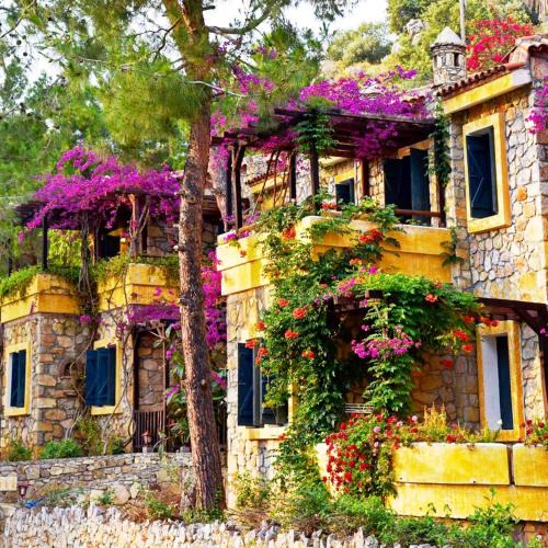 Oludeniz City Center Hotel | Symbola Oludeniz Beach Hotel