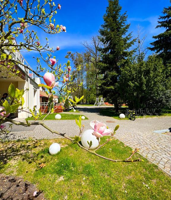 Brzezinka Hotel | Szafirowy Dwór Hotel & Restauracja