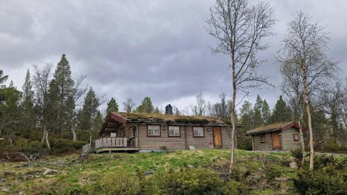 Galaa House | Tømmerhytte Med Utsikt Nær Røros