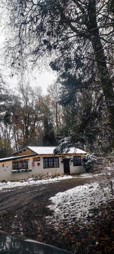 Opglabbeek Ski Chalet | 'T boshuisje
