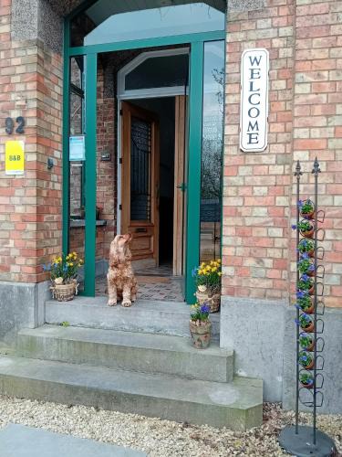 Welle Bed & Breakfast | ' t Geel Huizeken - B&B - koffiehuis