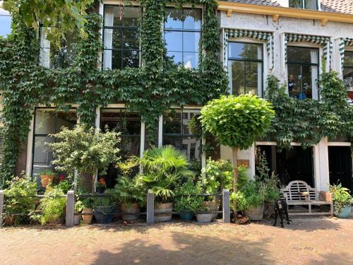 Schiedam Apartment | 't hart van Schiedam