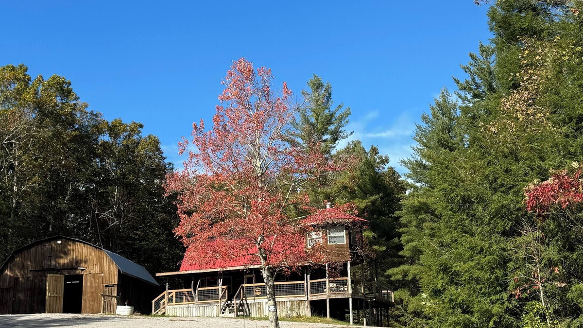 Jamestown Cabin | T&M Elite Retreat! Hike/Ride to Trails, Big South Fork, Near Scenic Parks!