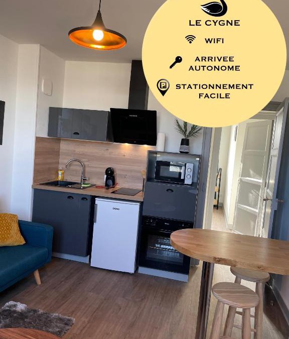 Bourges Apartment | T2 4 pers face gare SNCF Appart Hotel le Cygne 5