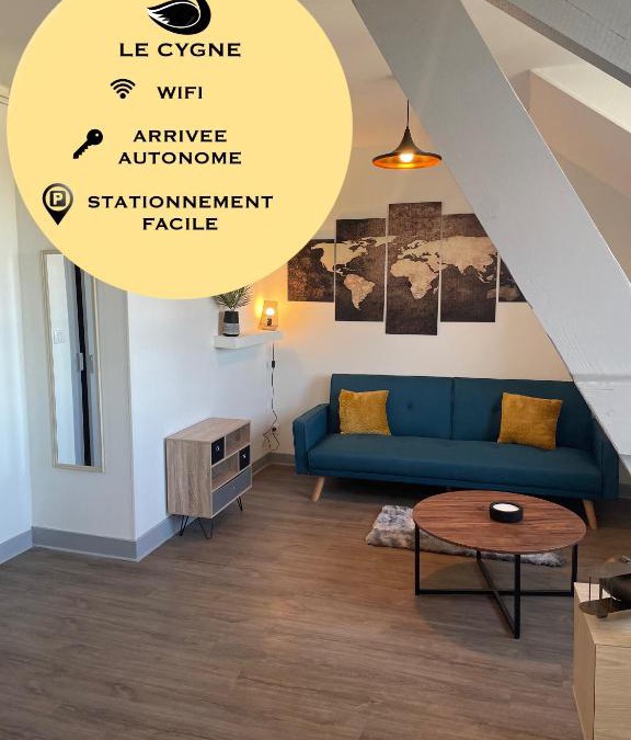 Bourges Apartment | T2 4 pers face gare SNCF Appart Hotel le Cygne 6