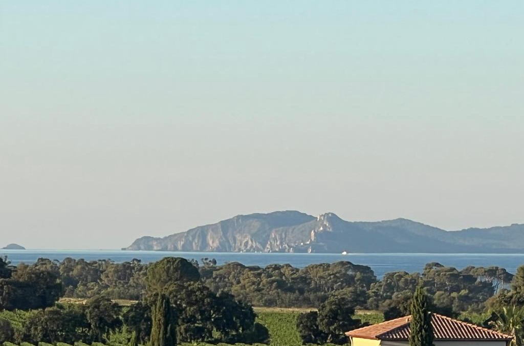 La Londe-les-Maures Apartment | T2 cabine La Londe les Maures 4 personnes magnifique vue mer
