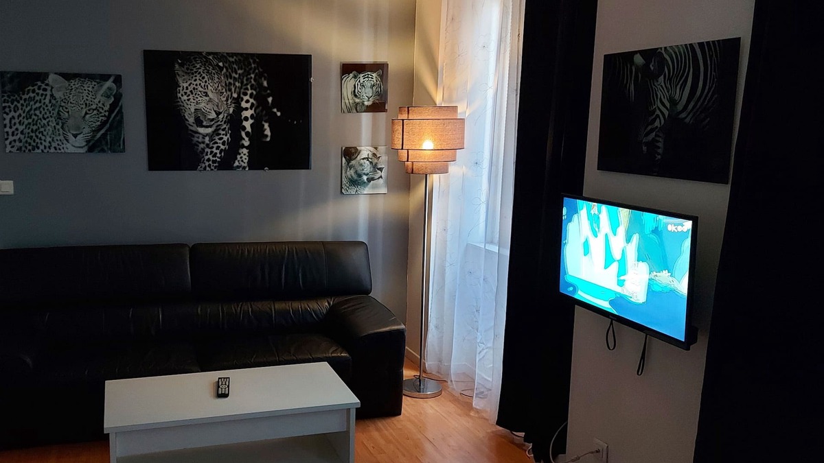 Saint-Roch - Badouillere - Chavanelle Apartment | T2, NETFLIX, WI FI, CENTER, tram, bus, near opera and all faculties
