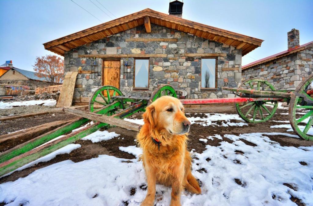 Selim Ski Chalet | taş evler