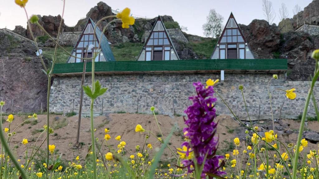 Black Sea Coast Other | Taşköprü Bungalow Otel Alabalık Tesisi