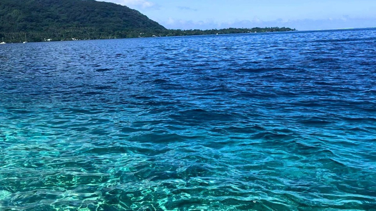 Taiarapu-Ouest House | TAHITI ITI - Bungalow Ariitea