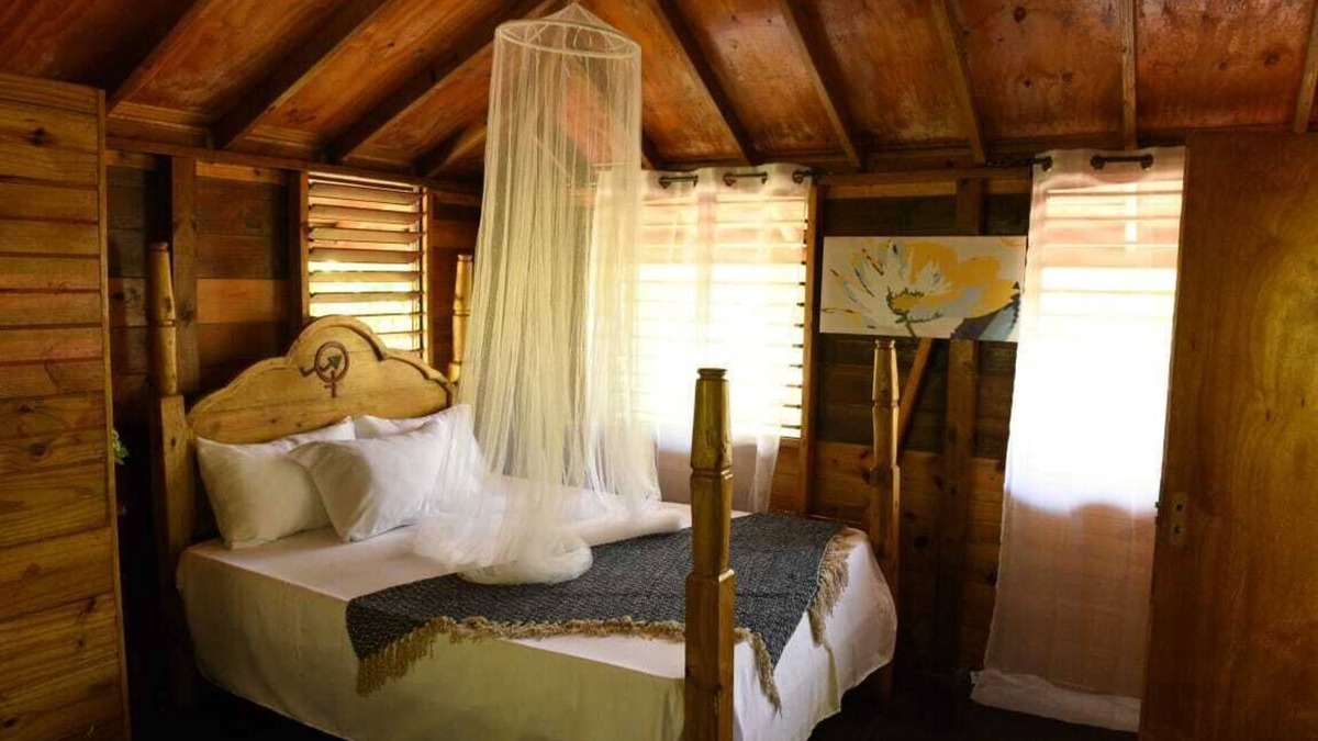 Little London Cabin | Take it easy at our eco friendly beach cabins where life meets nature funfilled