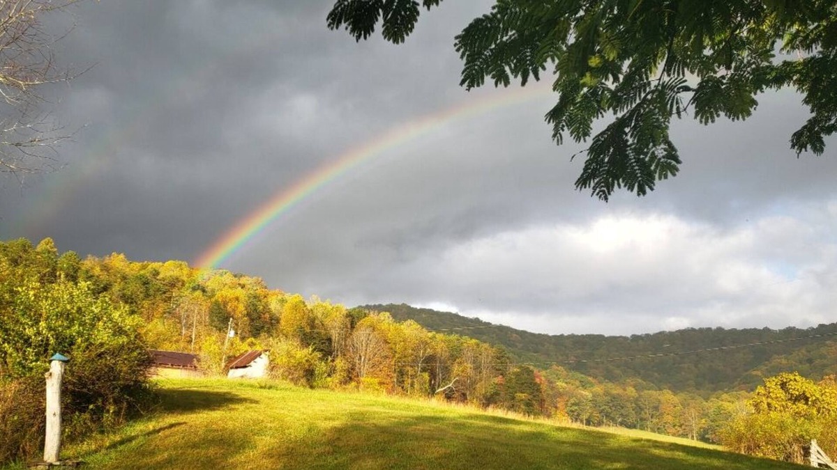 Beckwith Cottage | Take it easy at this unique and tranquil getaway