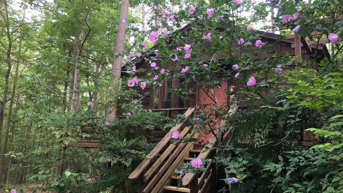 Broken Bow Cottage | Tale of the trout cabin located 1 mile from the trout stream and Lake