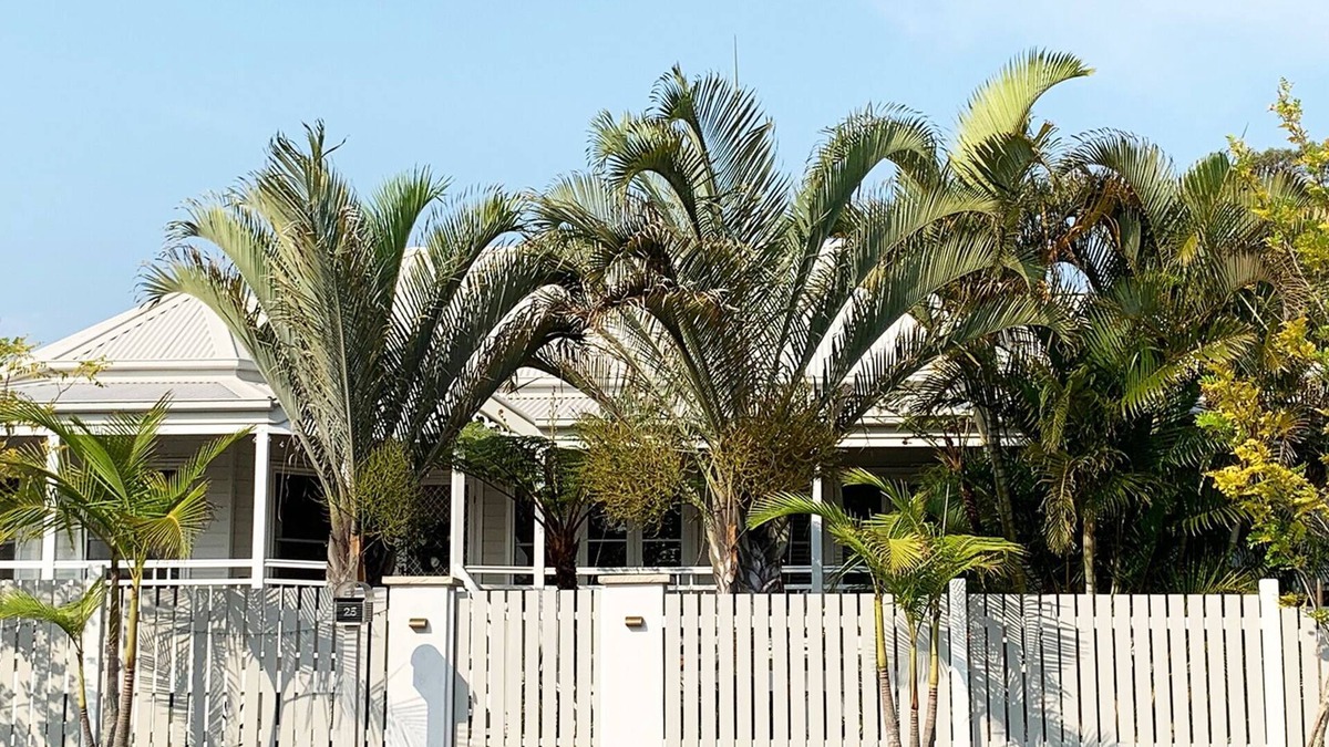 Valla Beach House | Tallulah – Pet friendly idyllic family beach house