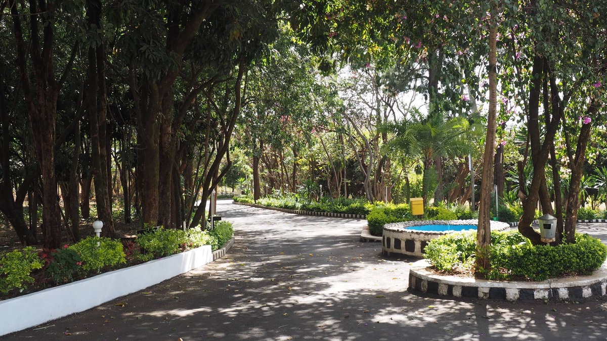 Bahir Dar Hotel | Tana Hotel