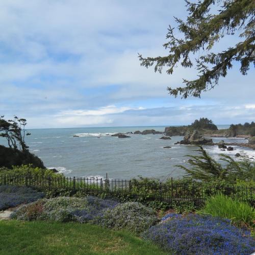 Brookings Apartment | Tanbark Shores Guest Suite