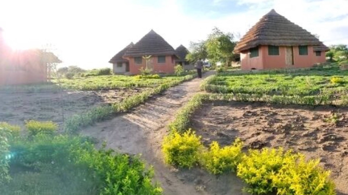 Pakwach Cabin | Tangi Safaris Lodge