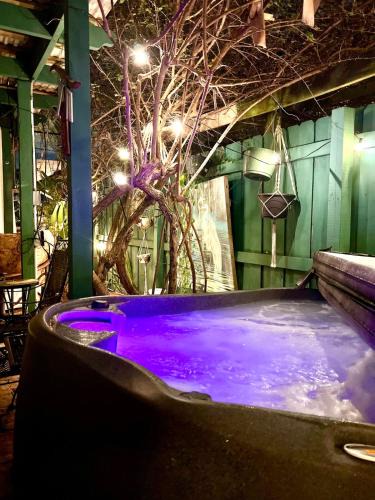 Old Northwood Historic District House | Tango Mango House with Private Hot Tub