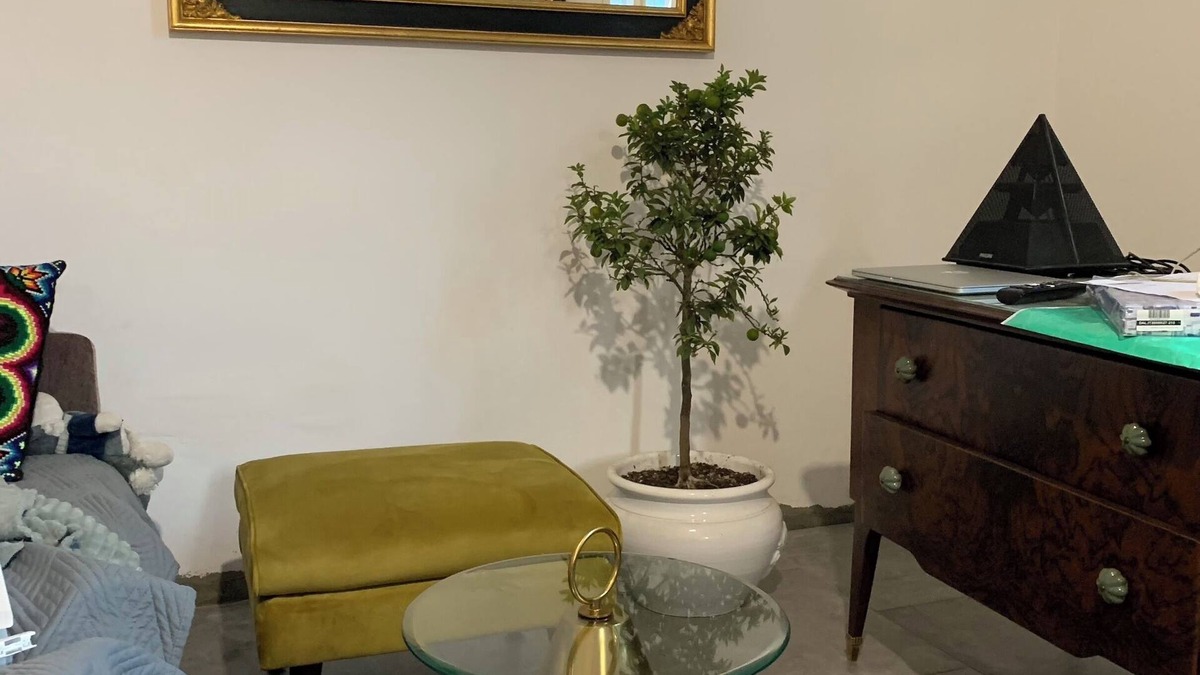 Reggio nell'Emilia Apartment | Tania's App - Your corner of relaxation in Reggio Emilia