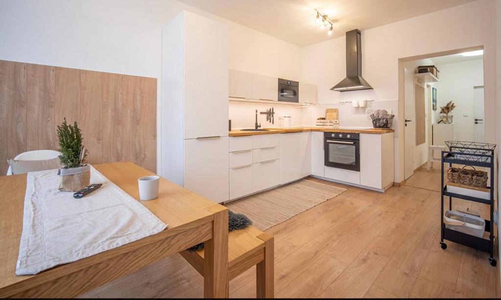 Karlovy Vary Apartment | Tara Apartment