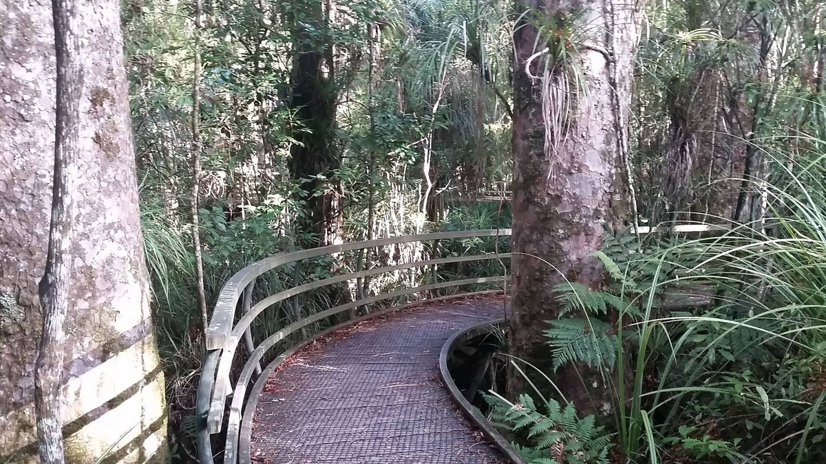 Paihia Cabin | Tarltons Lodge