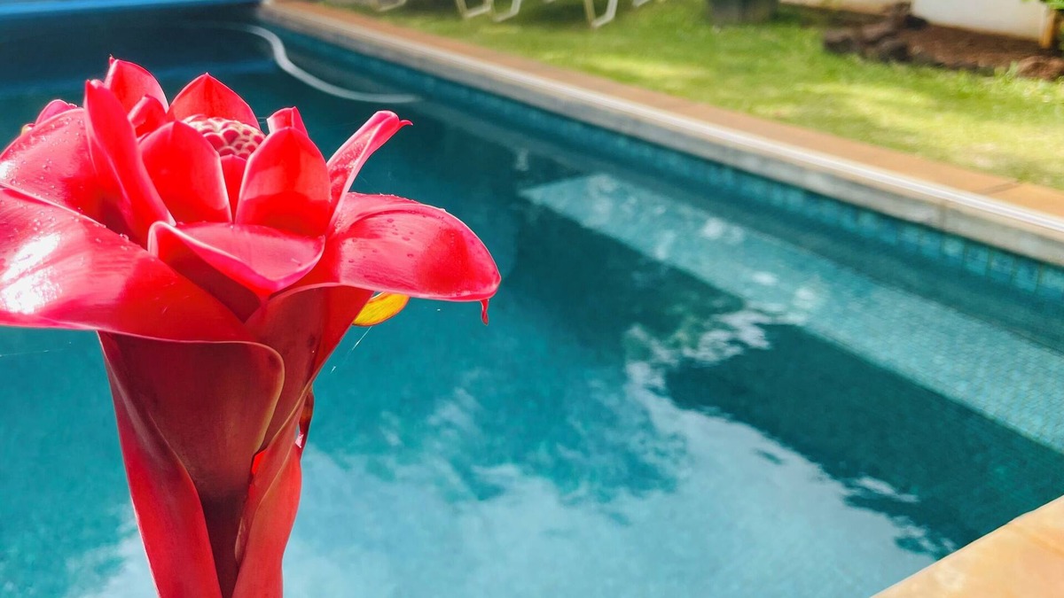 Bayview Apartment | Taro: One of two studios/Secluded pool oasis at Walelia Getaway - South Kaua'i