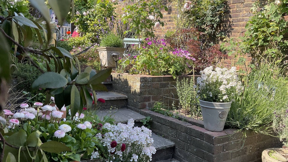 Arundel Cottage | Tarrant St Cottage with lovely garden