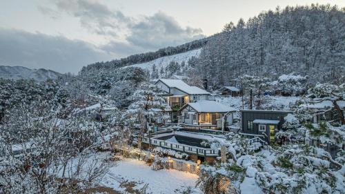 Seo House | Tasha's Garden Pet friendly pension