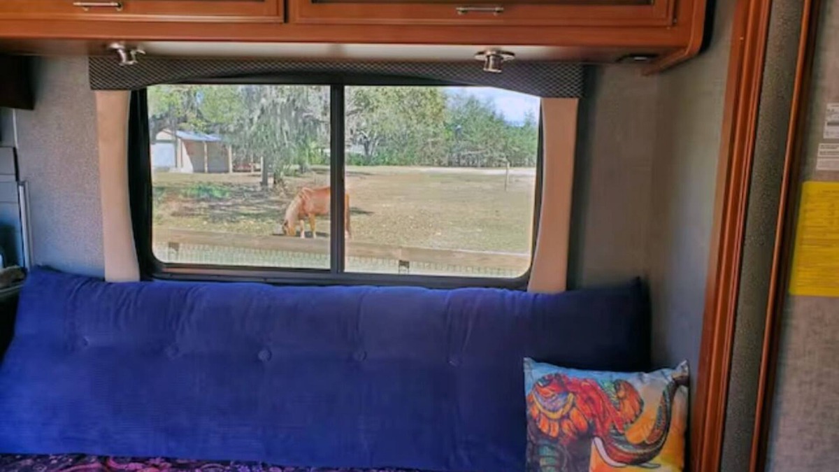 Lecanto House | Taste of Tiny Living in Pet Friendly Paradise