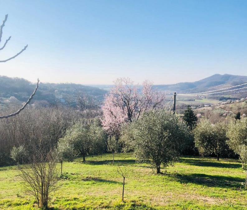 Arqua Petrarca Hotel | Tavern di Arqua'